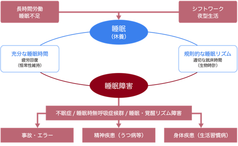 睡眠と生活習慣病との深い関係